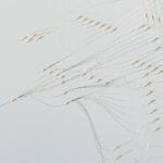 EO Pis: Your Essential Guide to Decoding