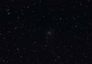 Ben Abell actor headshot