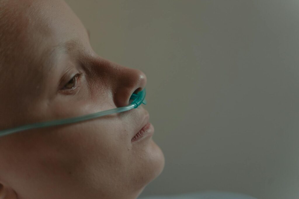 human nasal anatomy illustration