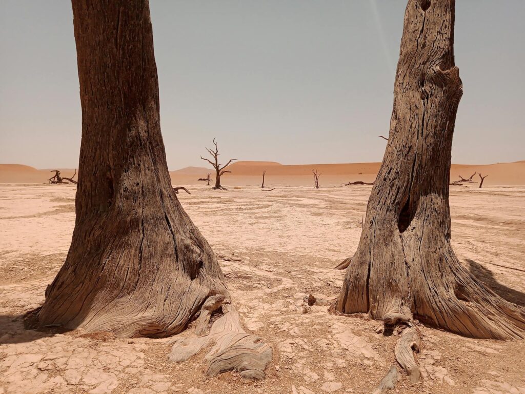 Sossusvlei Namibia sunset