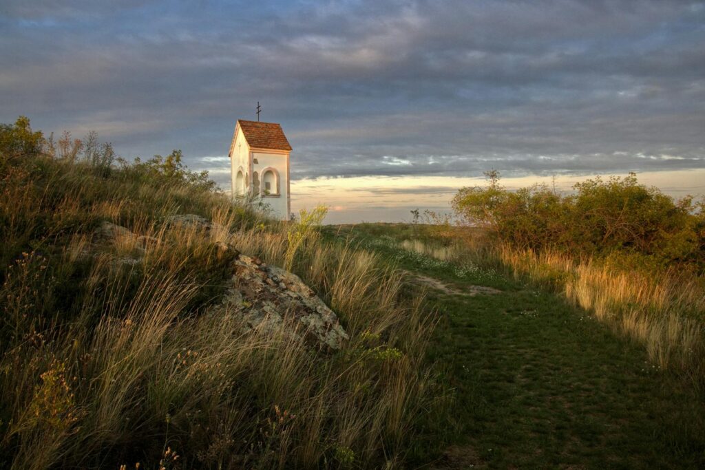 Sulayman Chappelle stage